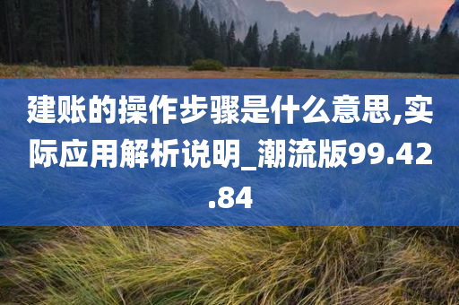 建账的操作步骤是什么意思,实际应用解析说明_潮流版99.42.84