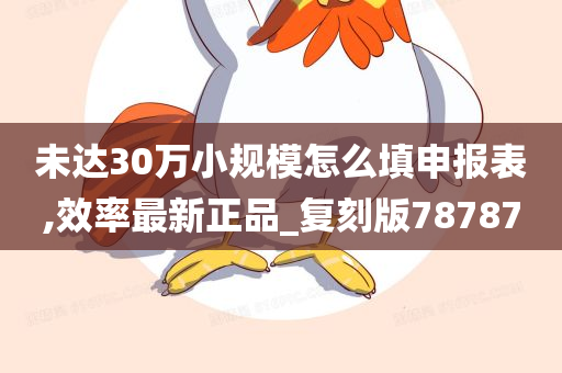 未达30万小规模怎么填申报表,效率最新正品_复刻版78787