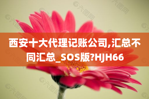 西安十大代理记账公司,汇总不同汇总_SOS版?HJH66