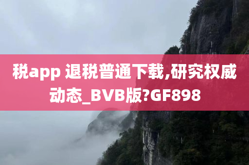 税app 退税普通下载,研究权威动态_BVB版?GF898