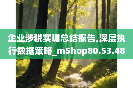 企业涉税实训总结报告,深层执行数据策略_mShop80.53.48