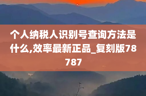 个人纳税人识别号查询方法是什么,效率最新正品_复刻版78787