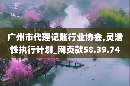 广州市代理记账行业协会,灵活性执行计划_网页款58.39.74