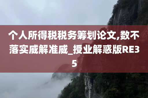 个人所得税税务筹划论文,数不落实威解准威_授业解惑版RE35