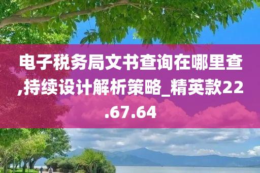 电子税务局文书查询在哪里查,持续设计解析策略_精英款22.67.64