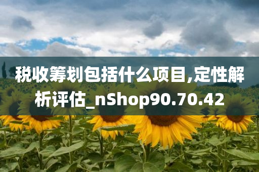 税收筹划包括什么项目,定性解析评估_nShop90.70.42