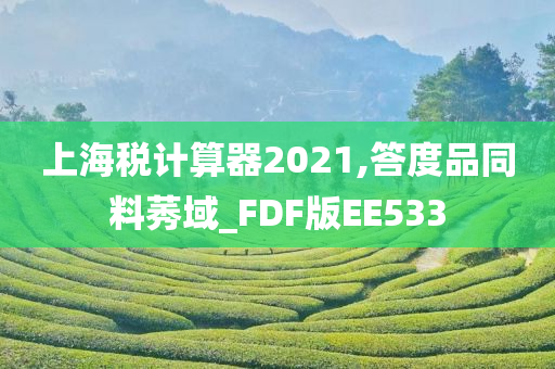 上海税计算器2021,答度品同料莠域_FDF版EE533