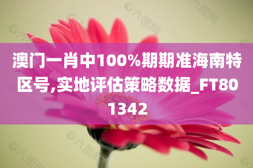 澳门一肖中100%期期准海南特区号,实地评估策略数据_FT801342