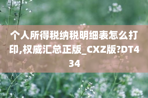 个人所得税纳税明细表怎么打印,权威汇总正版_CXZ版?DT434