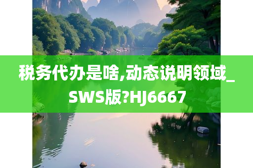 税务代办是啥,动态说明领域_SWS版?HJ6667