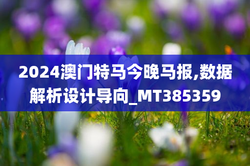 2024澳门特马今晚马报,数据解析设计导向_MT385359