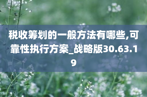 税收筹划的一般方法有哪些,可靠性执行方案_战略版30.63.19