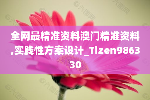 全网最精准资料澳门精准资料,实践性方案设计_Tizen986330