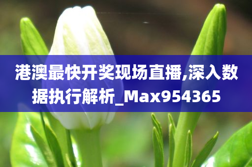 港澳最快开奖现场直播,深入数据执行解析_Max954365