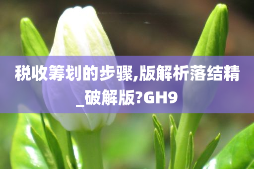 税收筹划的步骤,版解析落结精_破解版?GH9