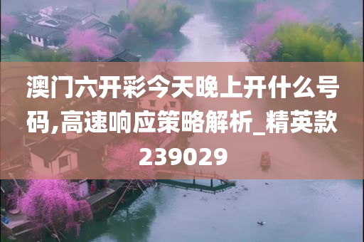 澳门六开彩今天晚上开什么号码,高速响应策略解析_精英款239029