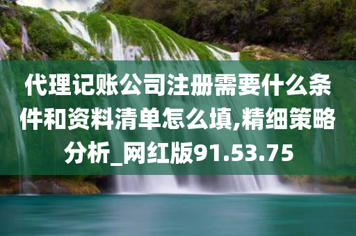 代理记账公司注册需要什么条件和资料清单怎么填,精细策略分析_网红版91.53.75