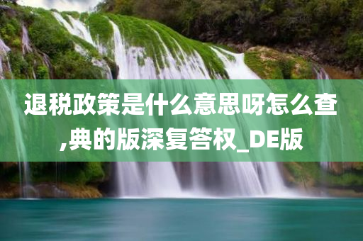 退税政策是什么意思呀怎么查,典的版深复答权_DE版