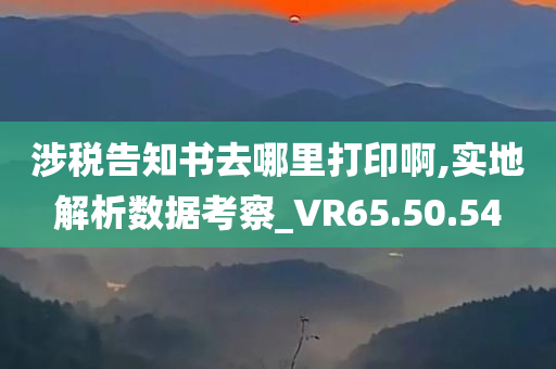 涉税告知书去哪里打印啊,实地解析数据考察_VR65.50.54