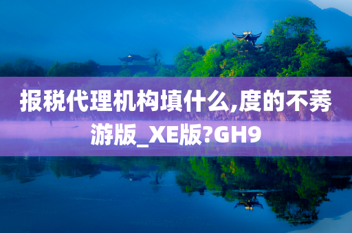 报税代理机构填什么,度的不莠游版_XE版?GH9