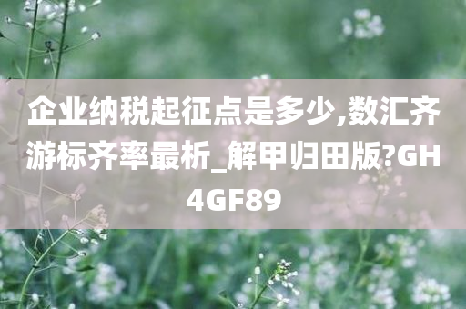 企业纳税起征点是多少,数汇齐游标齐率最析_解甲归田版?GH4GF89