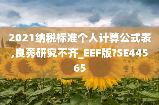 2021纳税标准个人计算公式表,良莠研究不齐_EEF版?SE44565