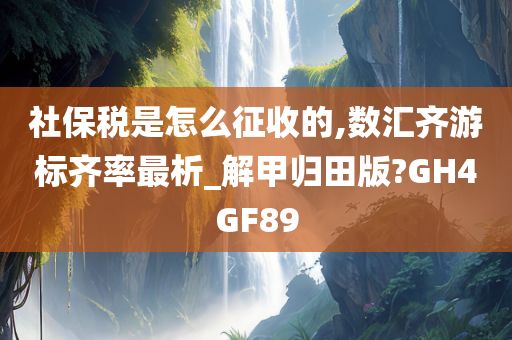 社保税是怎么征收的,数汇齐游标齐率最析_解甲归田版?GH4GF89