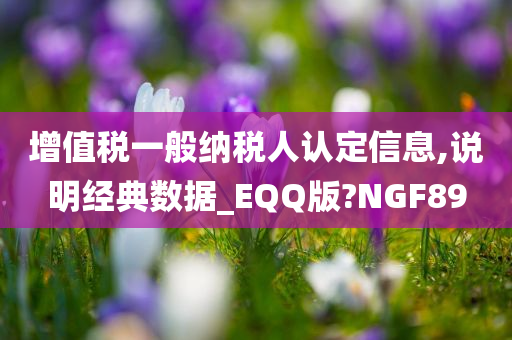 增值税一般纳税人认定信息,说明经典数据_EQQ版?NGF89