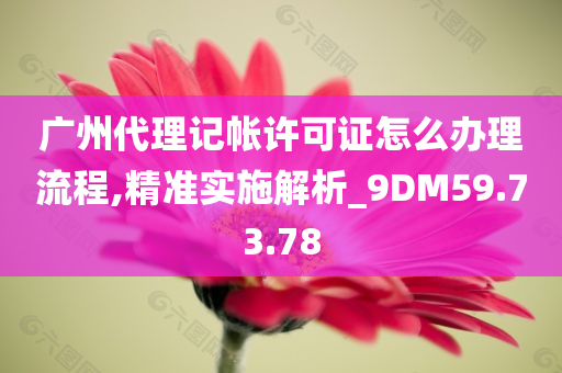 广州代理记帐许可证怎么办理流程,精准实施解析_9DM59.73.78