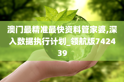 澳门最精准最快资料管家婆,深入数据执行计划_领航版742439