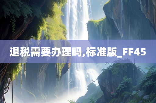 退税需要办理吗,标准版_FF45