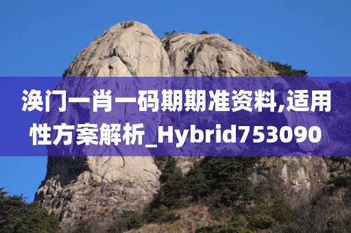 涣门一肖一码期期准资料,适用性方案解析_Hybrid753090