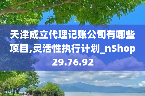 天津成立代理记账公司有哪些项目,灵活性执行计划_nShop29.76.92