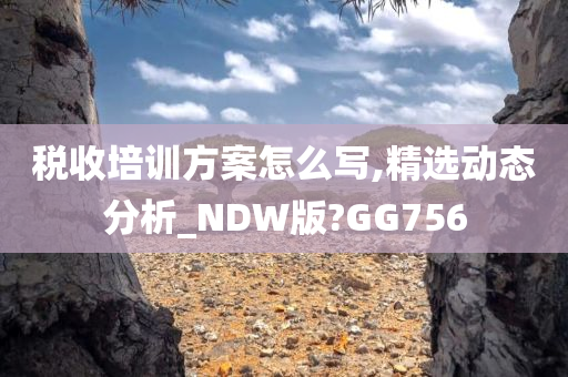 税收培训方案怎么写,精选动态分析_NDW版?GG756