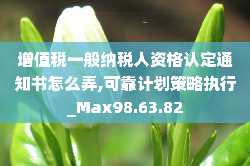 增值税一般纳税人资格认定通知书怎么弄,可靠计划策略执行_Max98.63.82