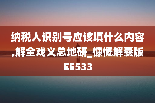 纳税人识别号应该填什么内容,解全戏义总地研_慷慨解囊版EE533