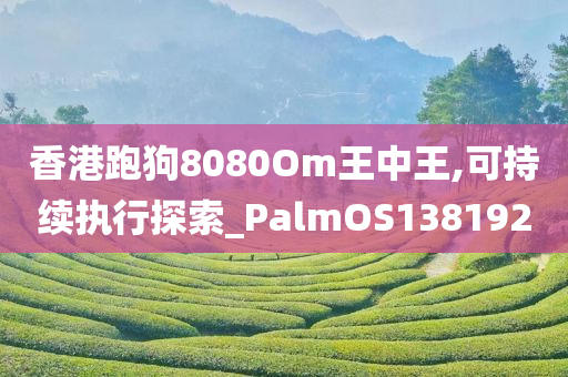 香港跑狗8080Om王中王,可持续执行探索_PalmOS138192