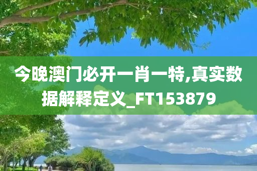 今晚澳门必开一肖一特,真实数据解释定义_FT153879