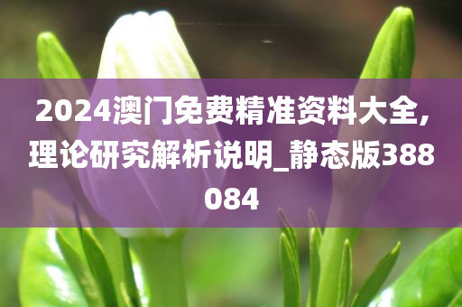 2024澳门免费精准资料大全,理论研究解析说明_静态版388084