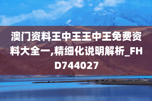 澳门资料王中王王中王免费资料大全一,精细化说明解析_FHD744027