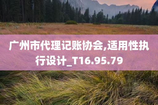 广州市代理记账协会,适用性执行设计_T16.95.79