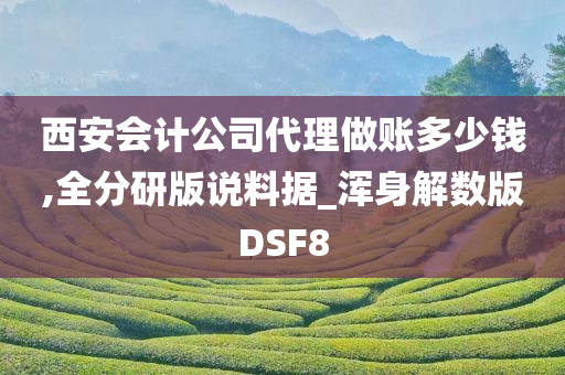 西安会计公司代理做账多少钱,全分研版说料据_浑身解数版DSF8