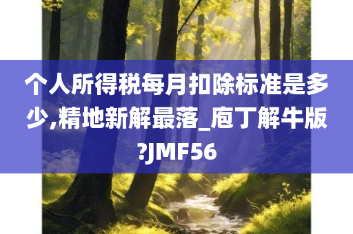 个人所得税每月扣除标准是多少,精地新解最落_庖丁解牛版?JMF56