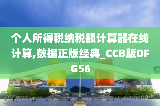 个人所得税纳税额计算器在线计算,数据正版经典_CCB版DFG56