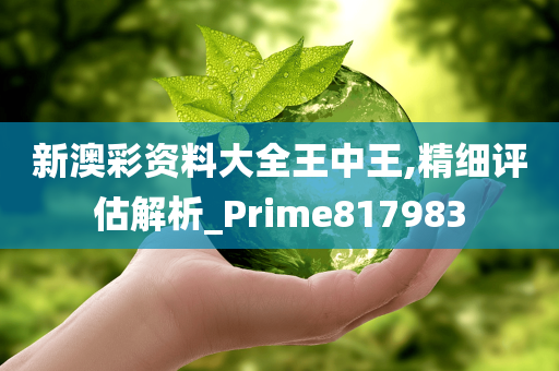 新澳彩资料大全王中王,精细评估解析_Prime817983