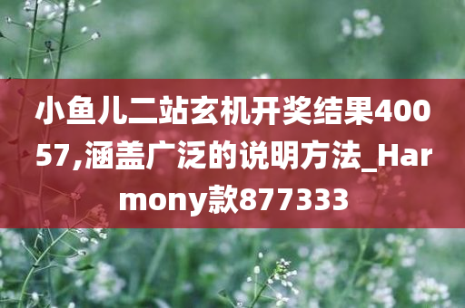 小鱼儿二站玄机开奖结果40057,涵盖广泛的说明方法_Harmony款877333