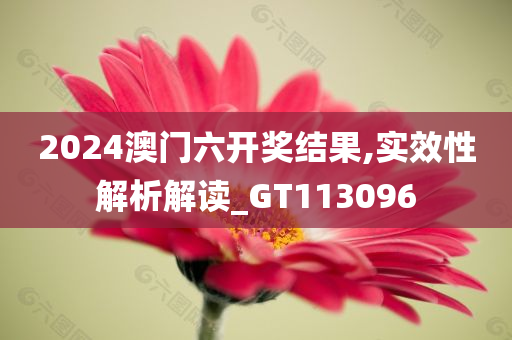 2024澳门六开奖结果,实效性解析解读_GT113096