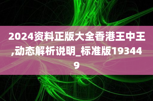 2024资料正版大全香港王中王,动态解析说明_标准版193449