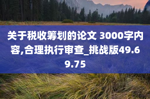 关于税收筹划的论文 3000字内容,合理执行审查_挑战版49.69.75