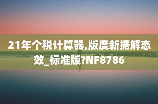 21年个税计算器,版度新据解态效_标准版?NF8786